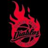 https://img.hjpm.net/img/basketball/team/7cfb3e4491cd727b0b437024abe55a9b.png