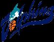 https://img.hjpm.net/img/basketball/team/b49d4e6c00b446698132550f3e3c2c50.png