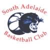 https://img.hjpm.net/img/basketball/team/b7aa826f862441c88014378260f72754.jpg