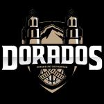 https://img.hjpm.net/img/basketball/team/c0545fedca603c646fb0ad06bea4561a.png